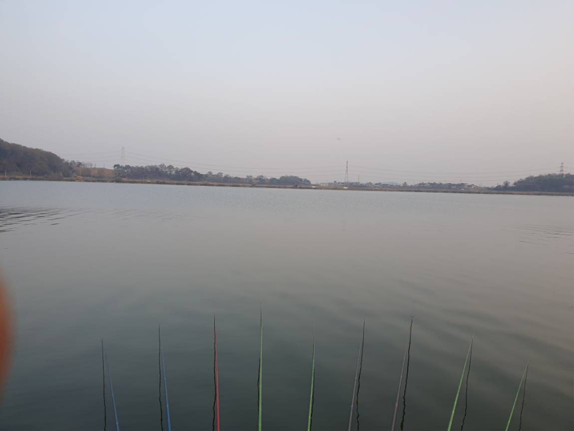 20250418_184223.jpg