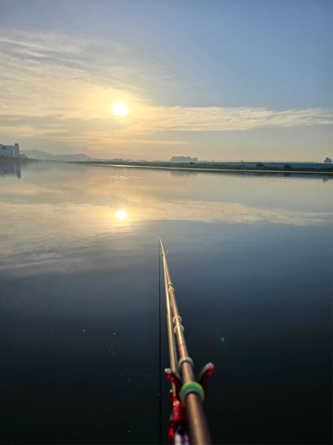 1000025583.jpg