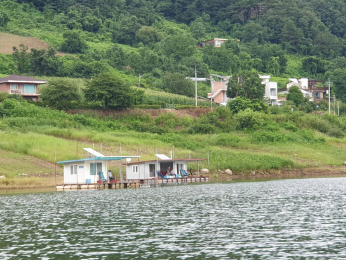 양구낚시 통신원속보 > 파로호 상무룡 이씨좌대 떡붕어포함 : 낚시사랑