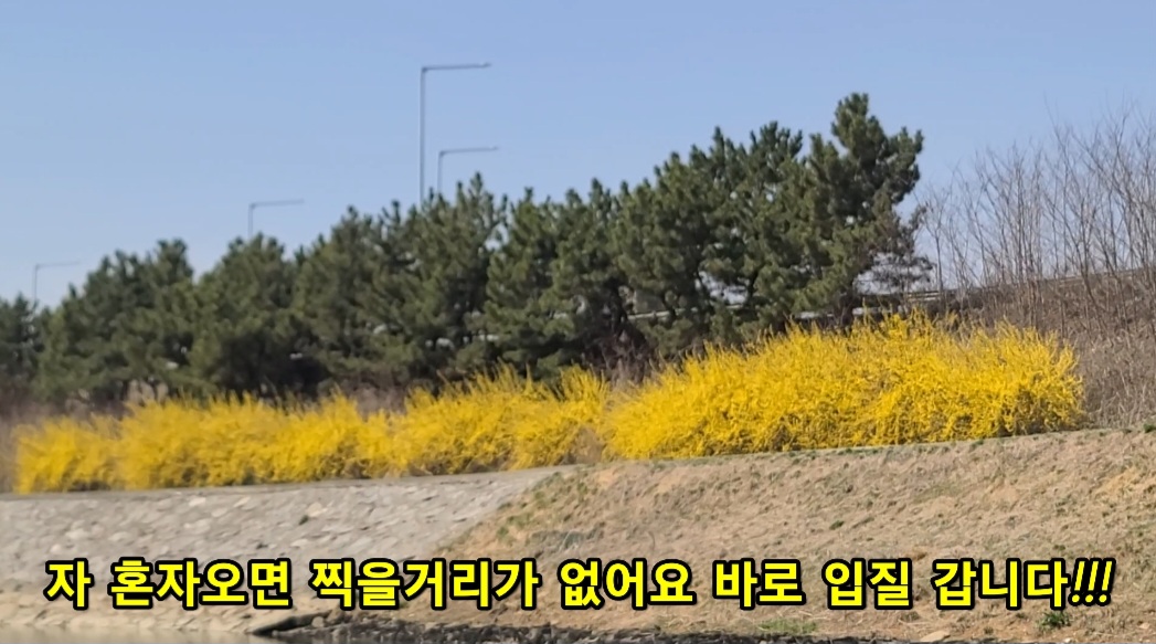 Screenshot_20230328_200505_VLLO.jpg