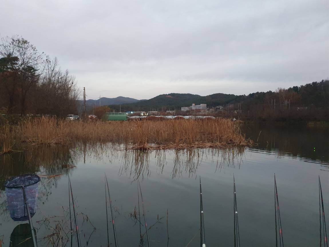 20241203_070610.jpg