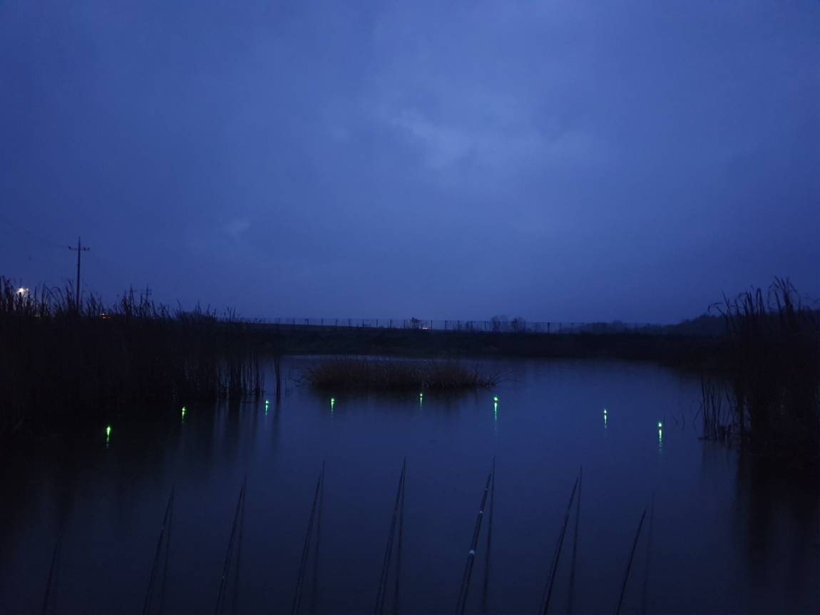 20241126_064910.jpg