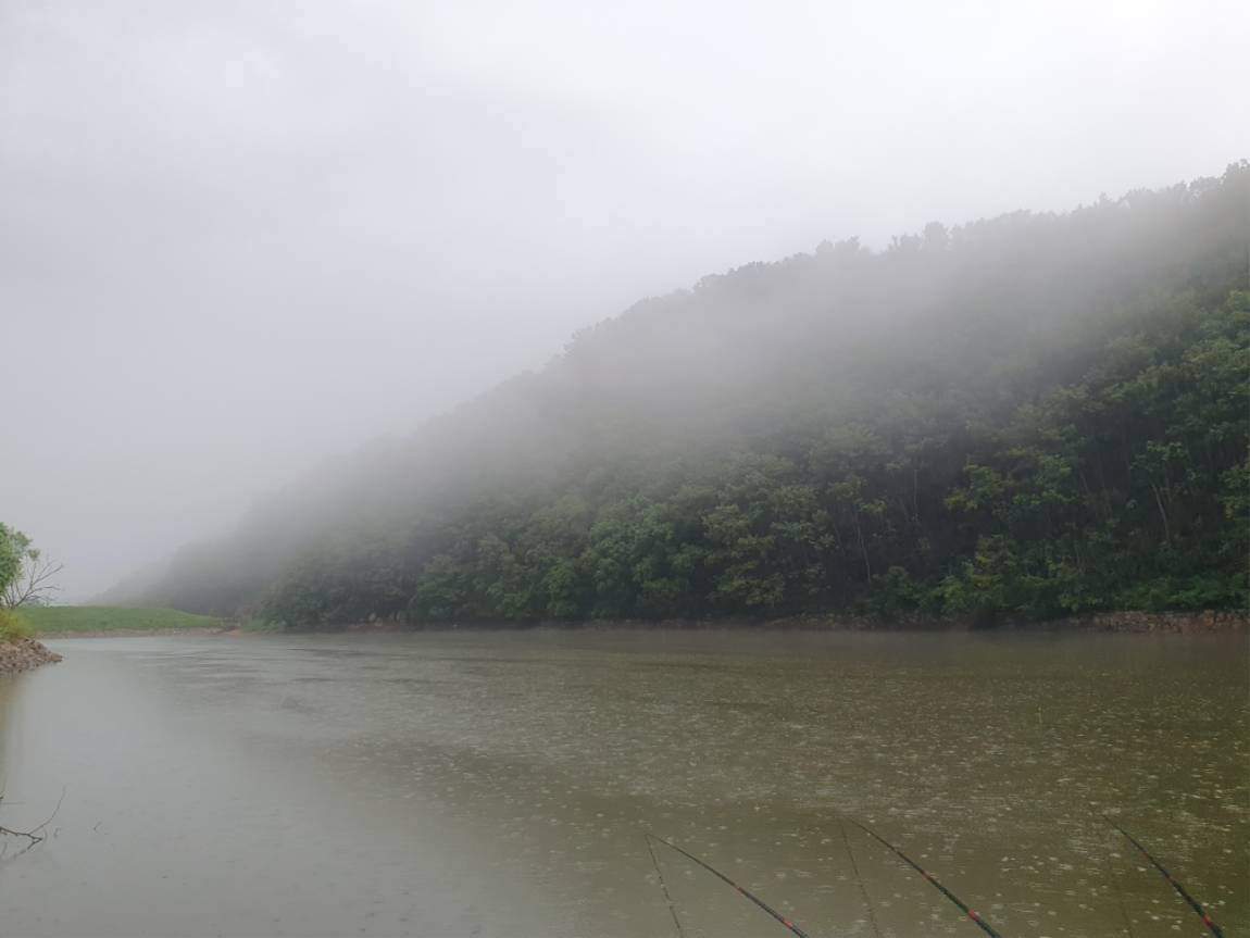 20250902_064224.jpg