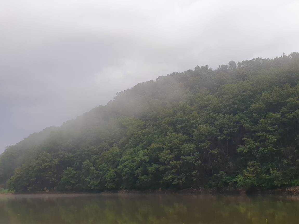 20250902_062640.jpg