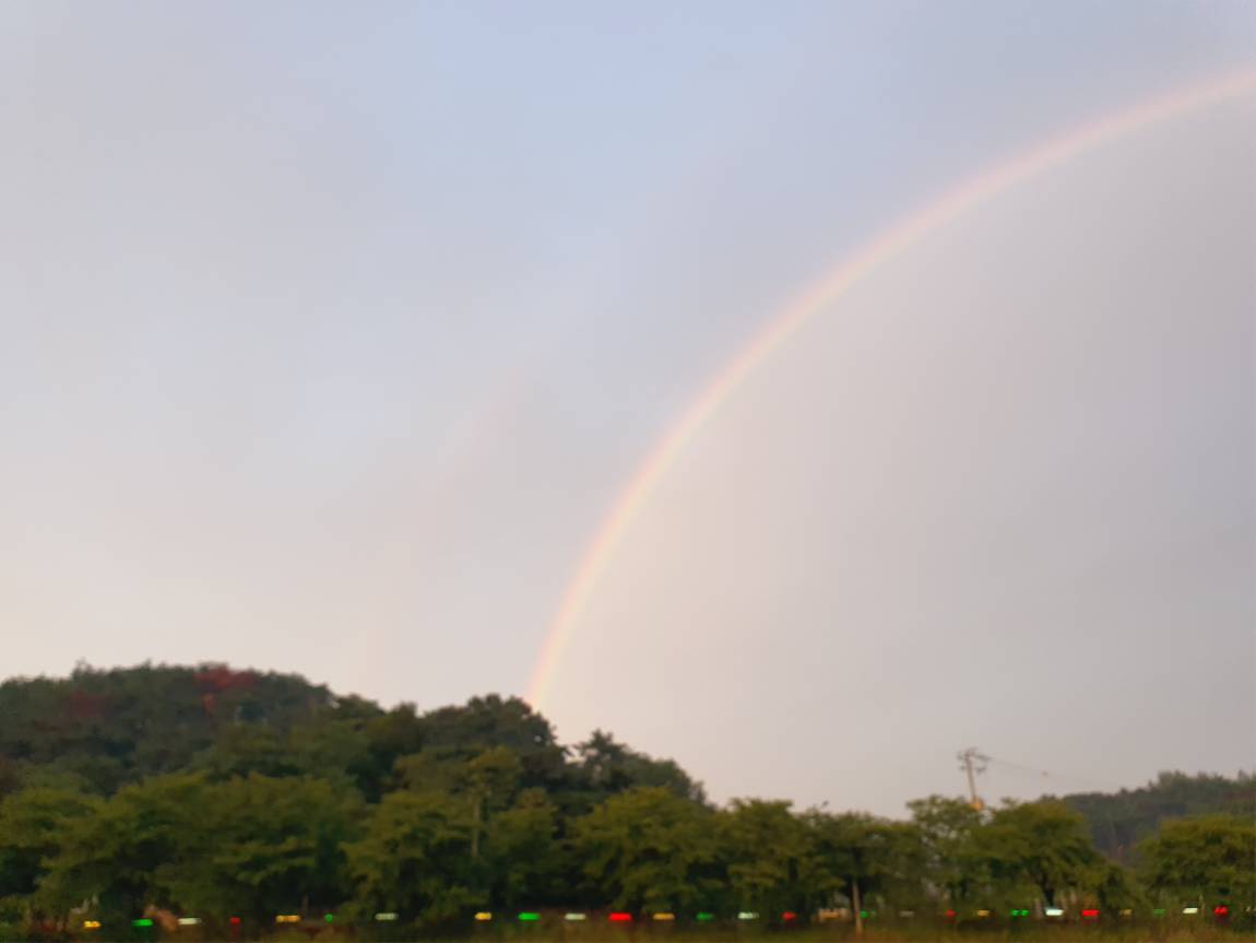 20250811_191012.jpg