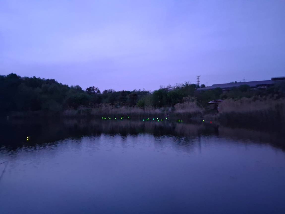 24540.jpg