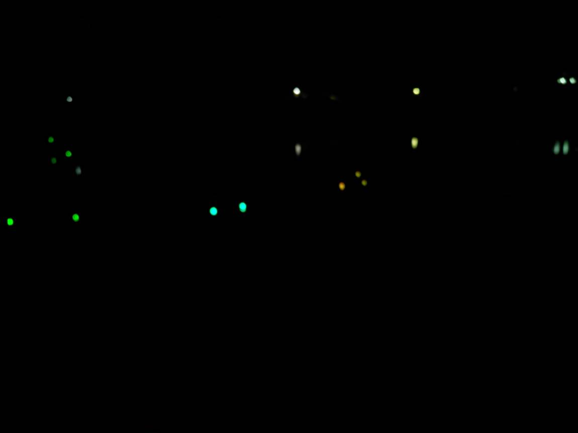 6958.jpg