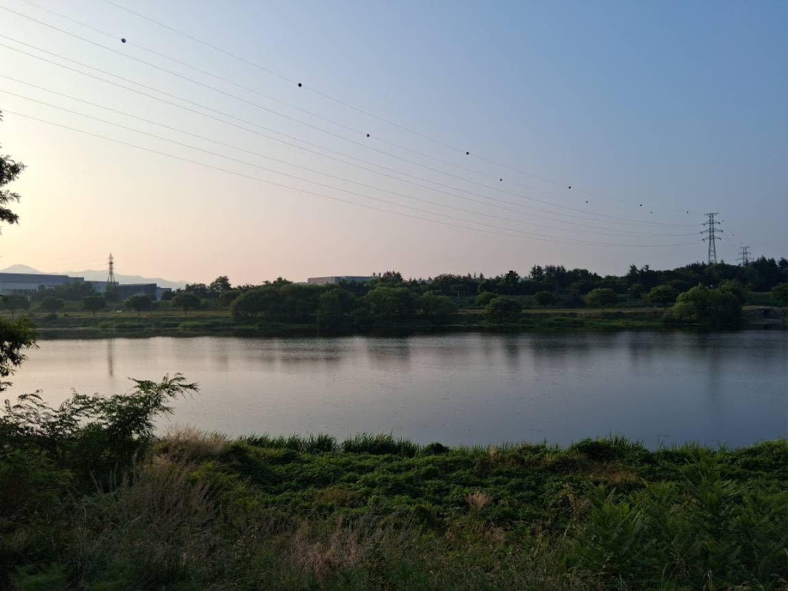 28521.jpg