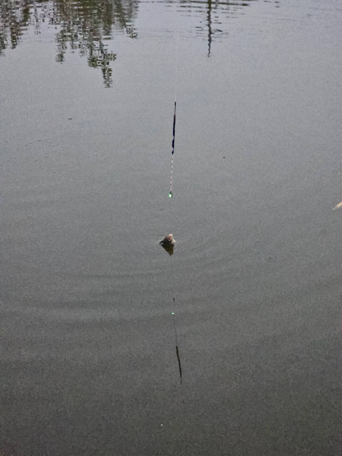 20251026_175242.jpg