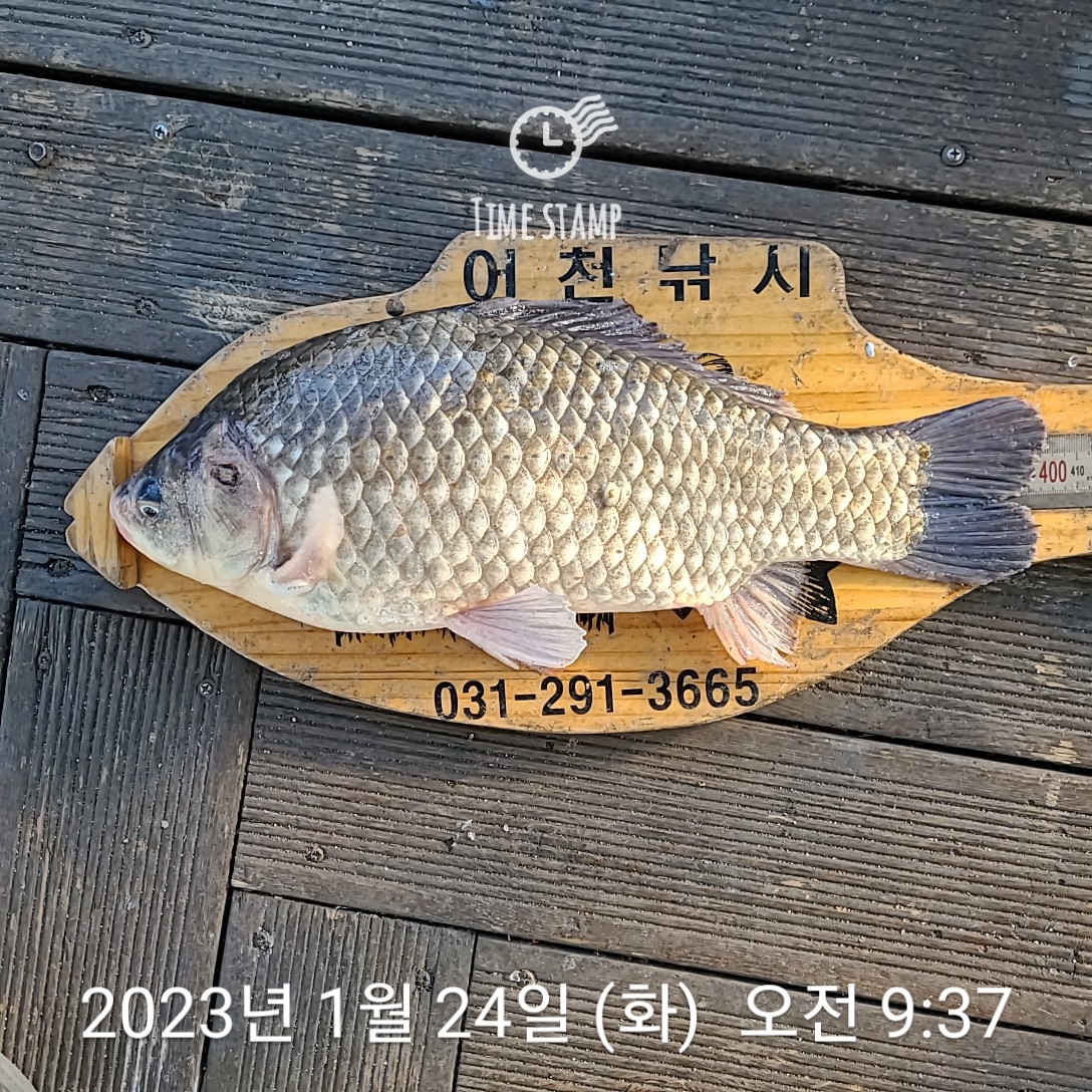 35fb06be-ef32-40b4-a64d-12f7ed047ccc.jpg
