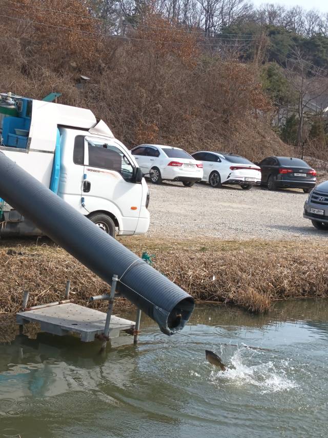 새말낚시터 유료낚시터 > 27일 조황정보 : 낚시사랑