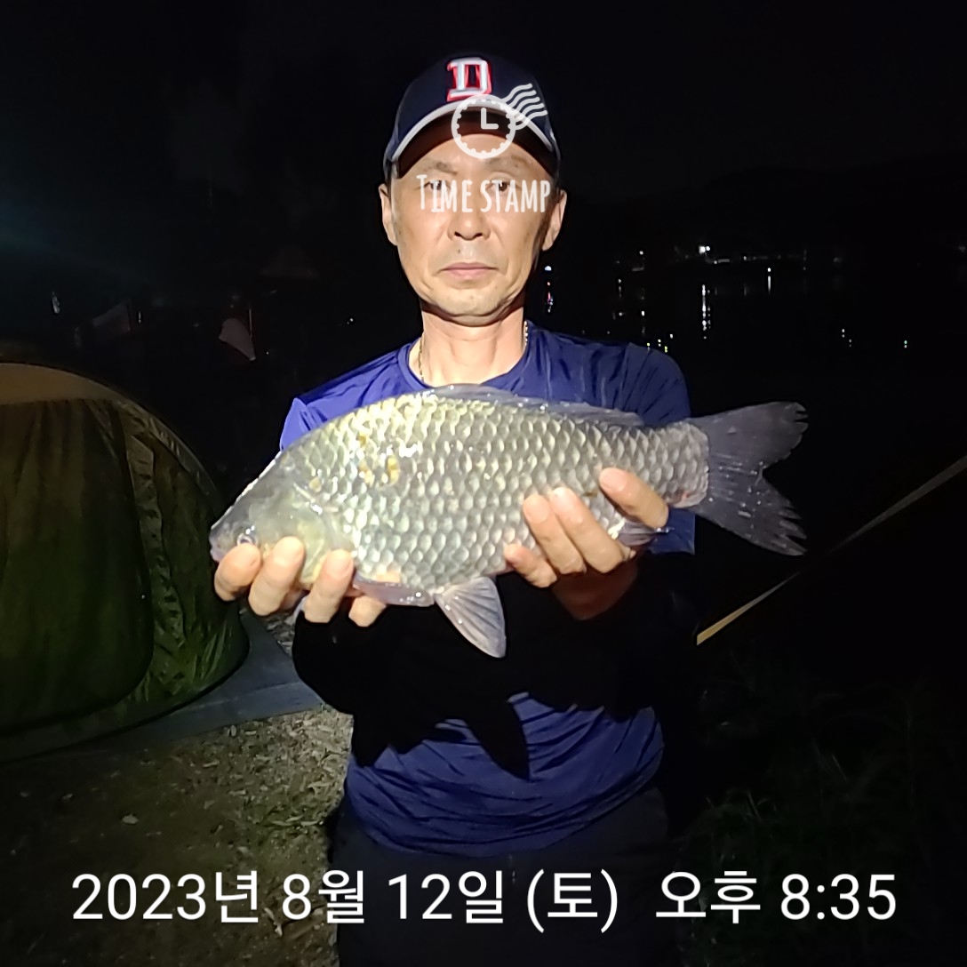 어천낚시터지기 유료낚시터 > 토종 붕어 4짜 소식 및 토종 붕어 대량방류 : 낚시사랑