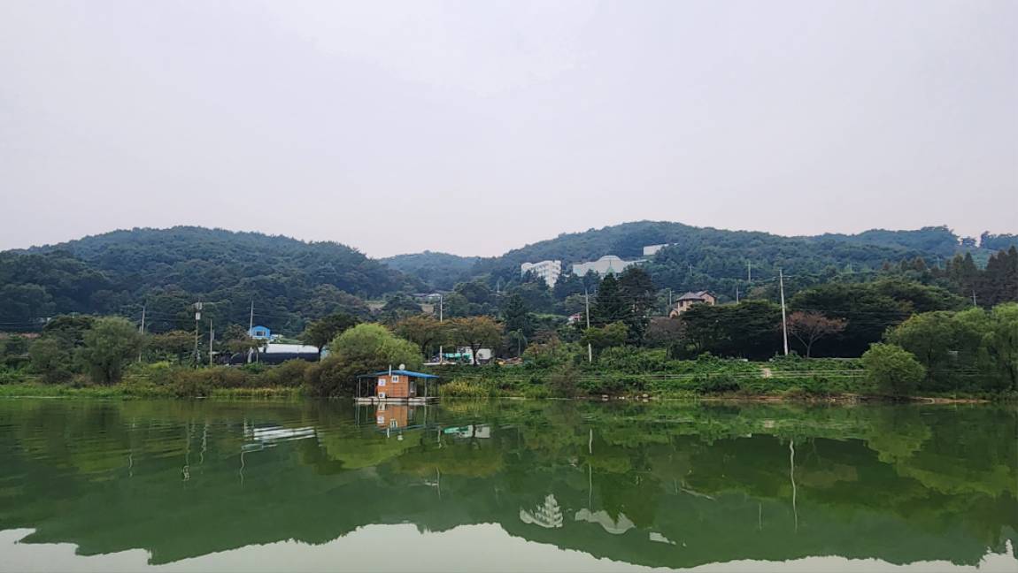 덕산지 유료낚시터 > 안성 덕산지 조황사진올립니다 : 낚시사랑