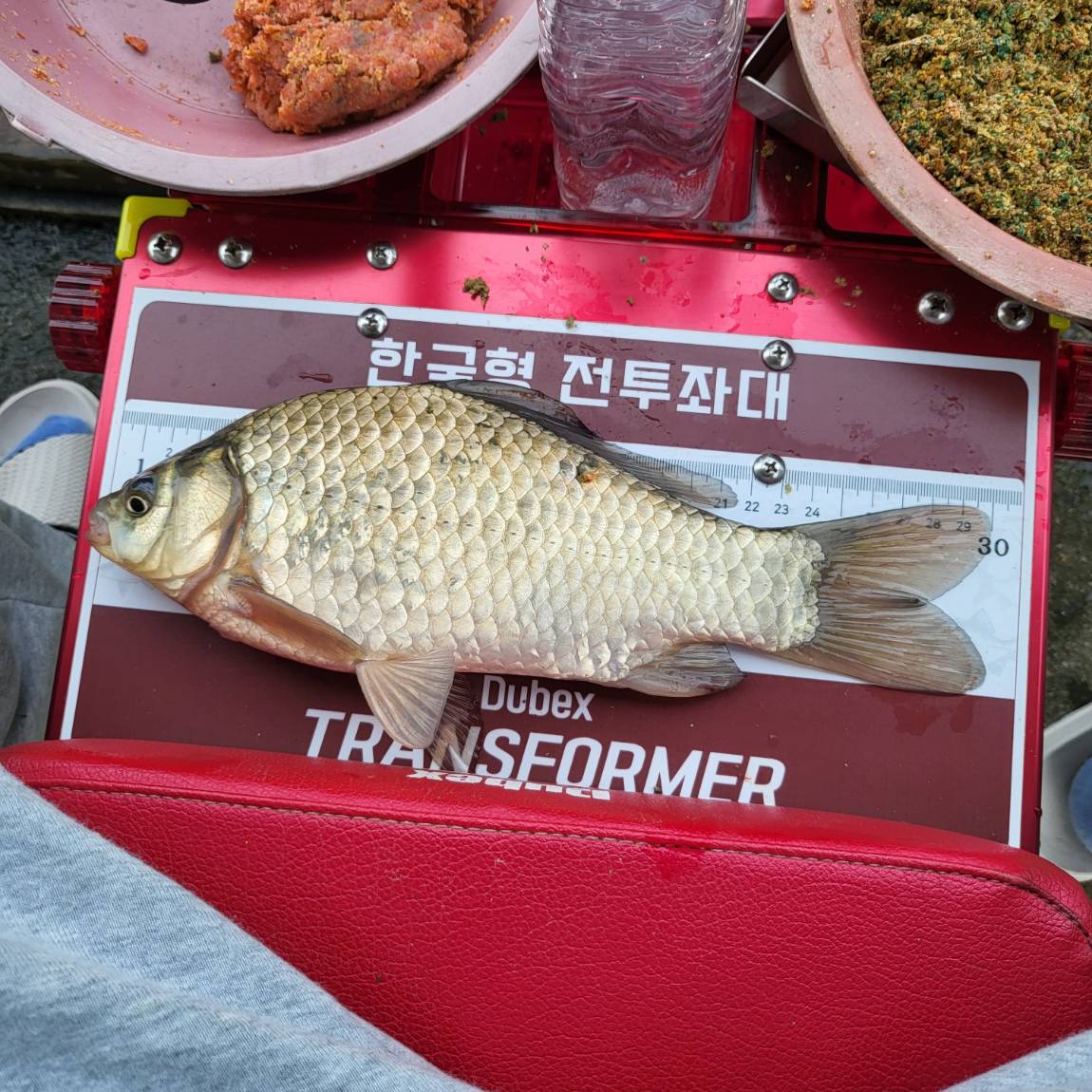 1695538787191.jpg