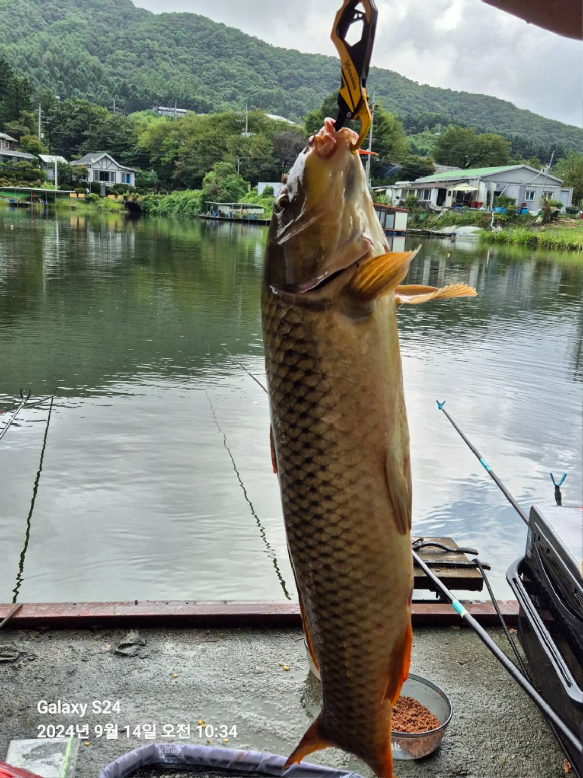 추곡낚시터 유료낚시터 > 조황정보 입니다.!! : 낚시사랑