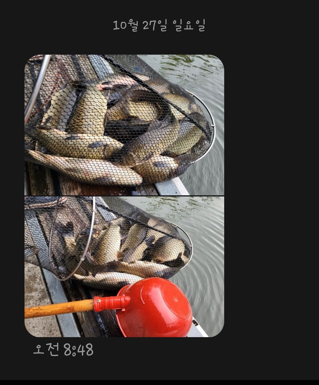 1000022108.jpg