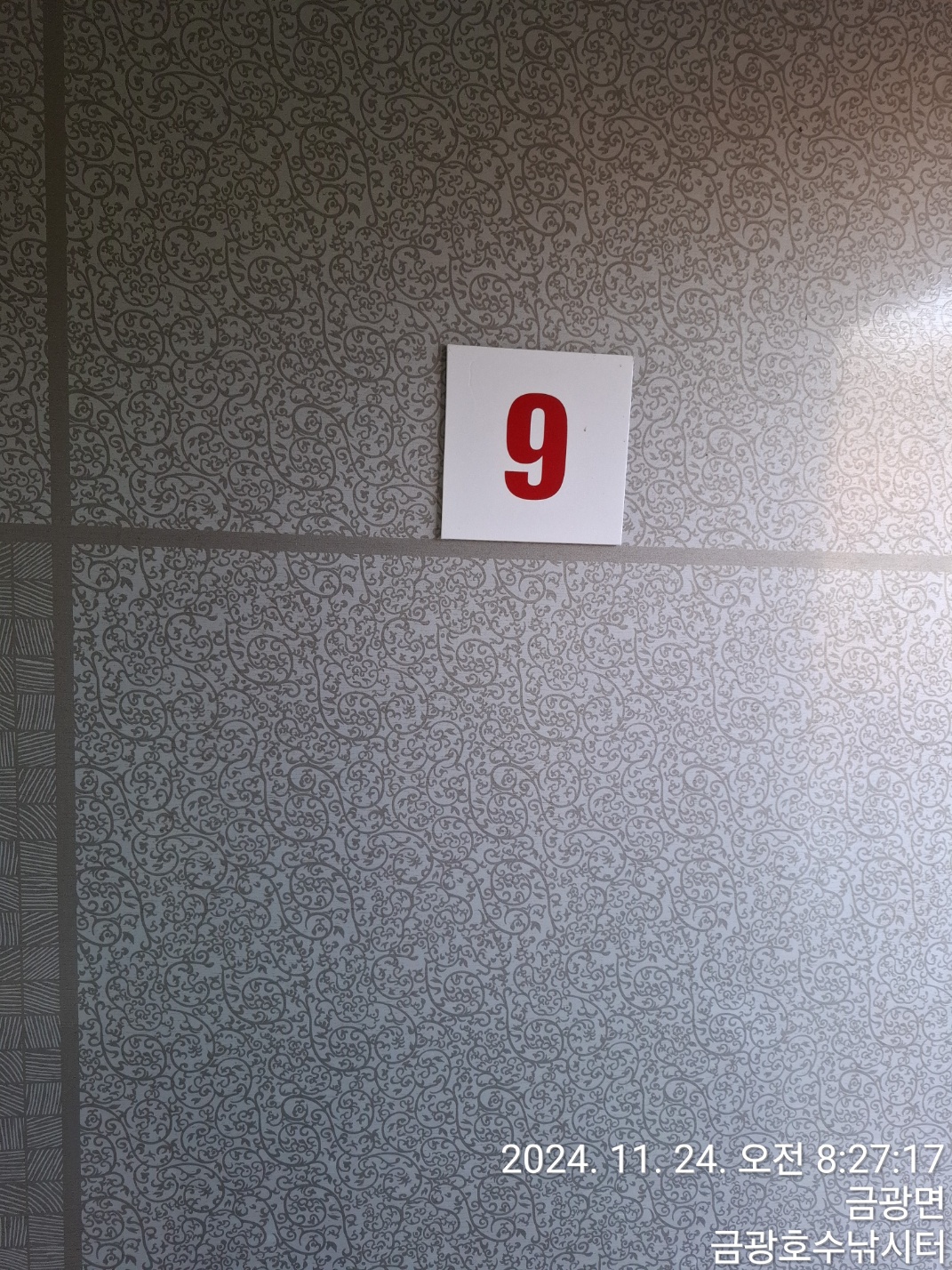 1000023425.jpg