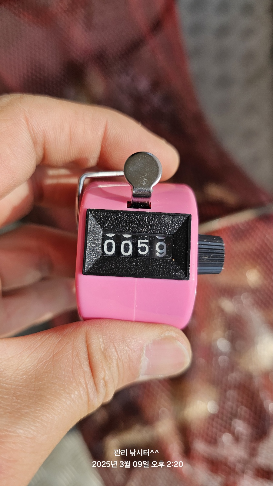1000005907.jpg