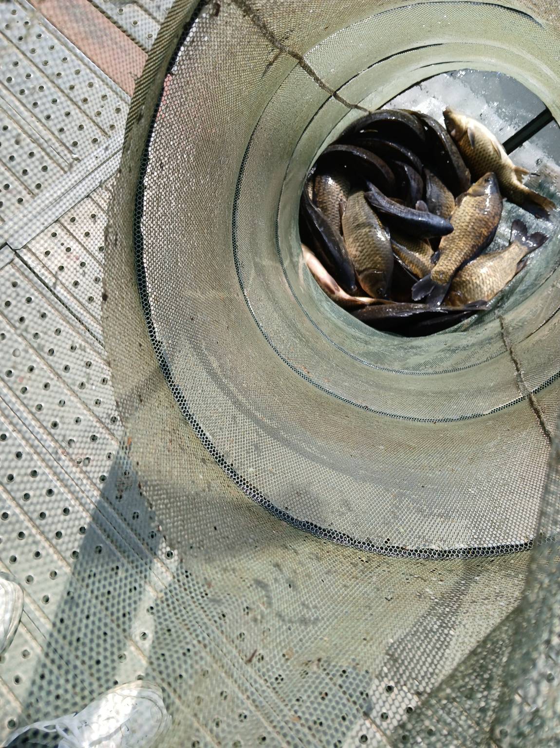 1000012115.jpg