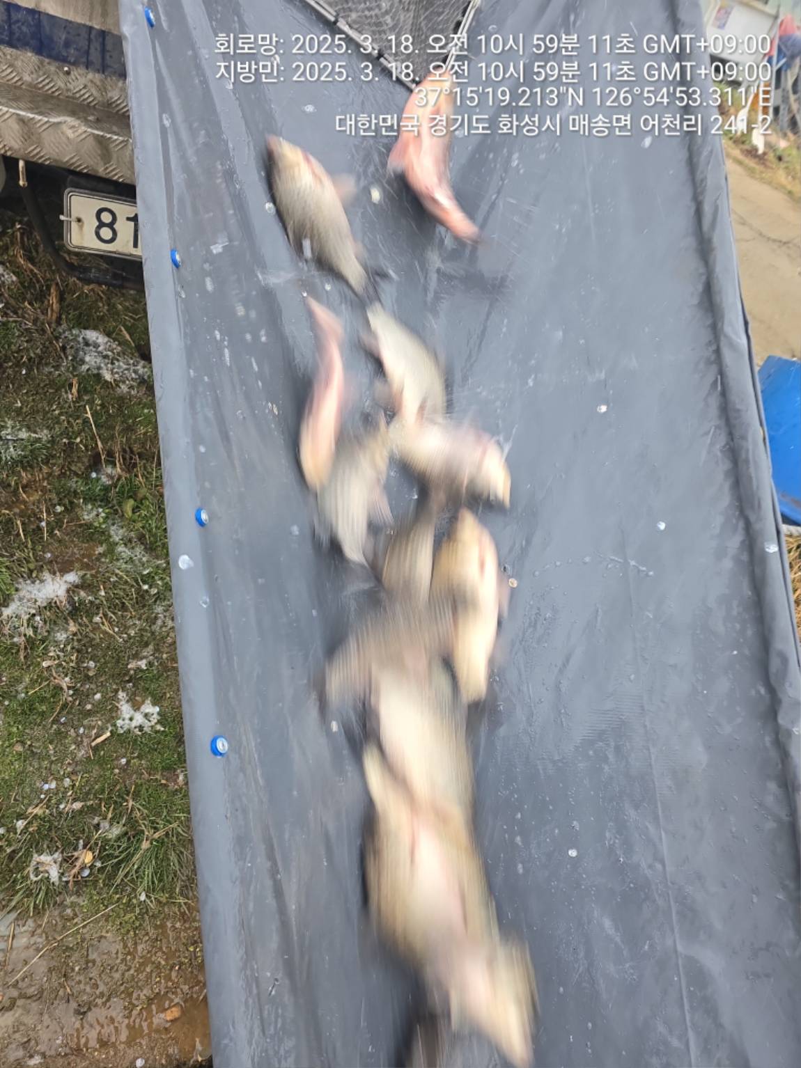 1000029703.jpg