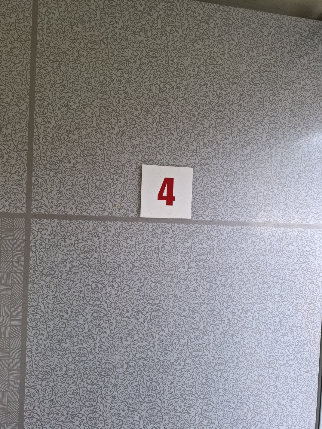1000027274.jpg