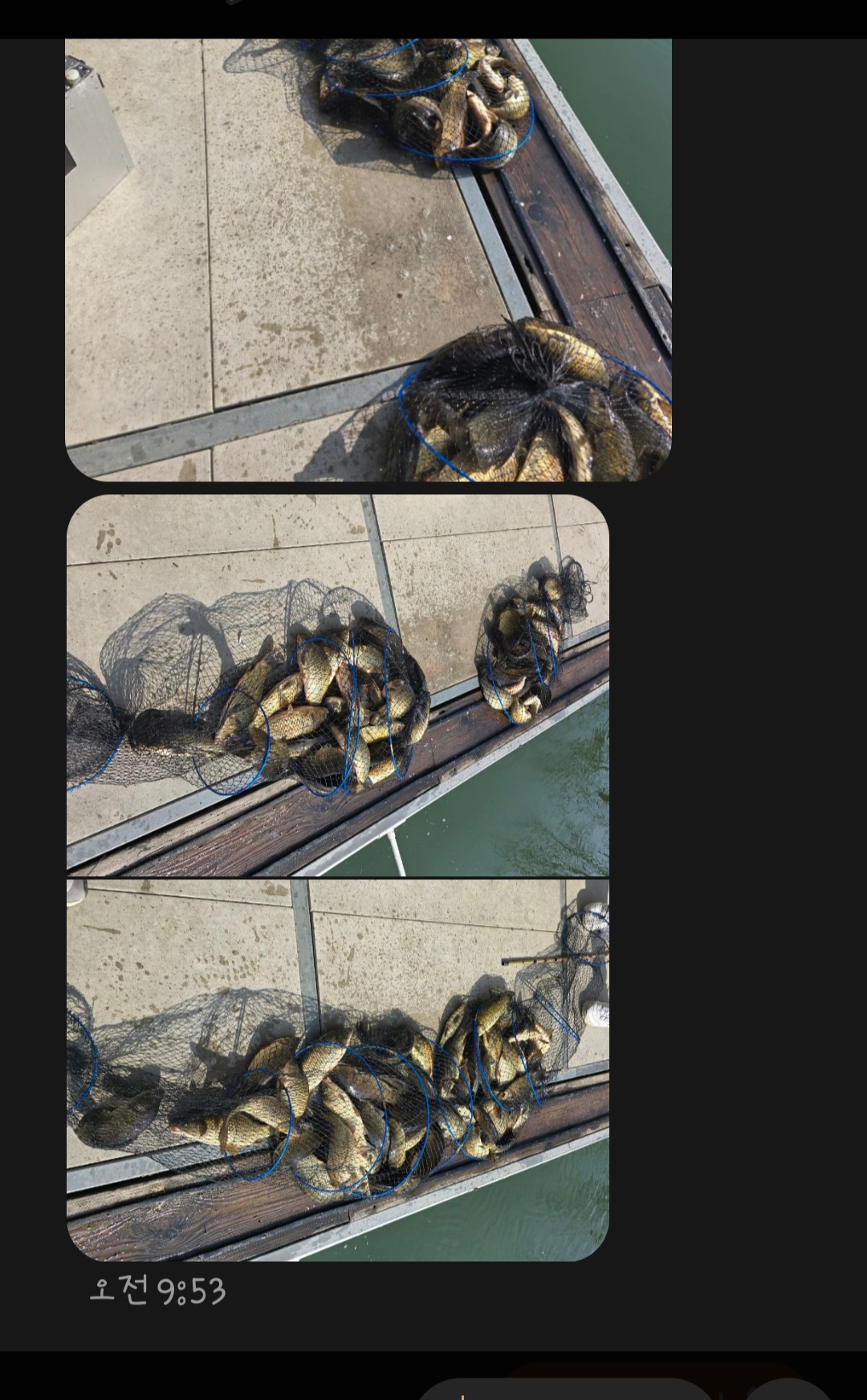 1000029083.jpg
