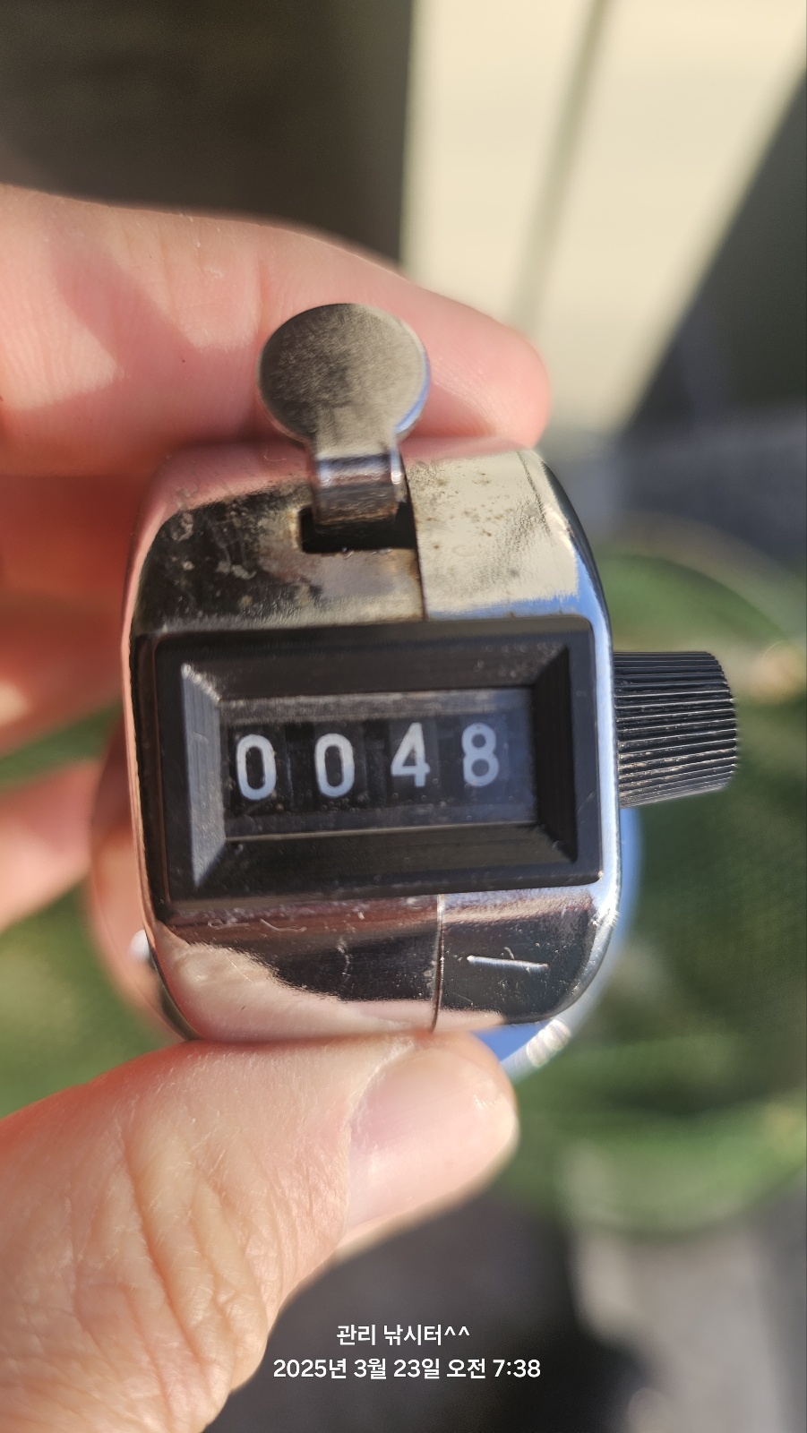 1000006791.jpg