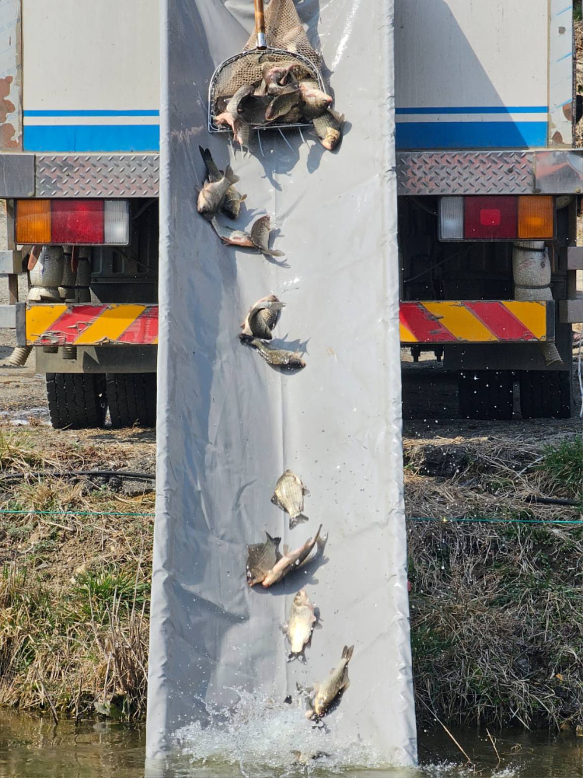 1000005647.jpg