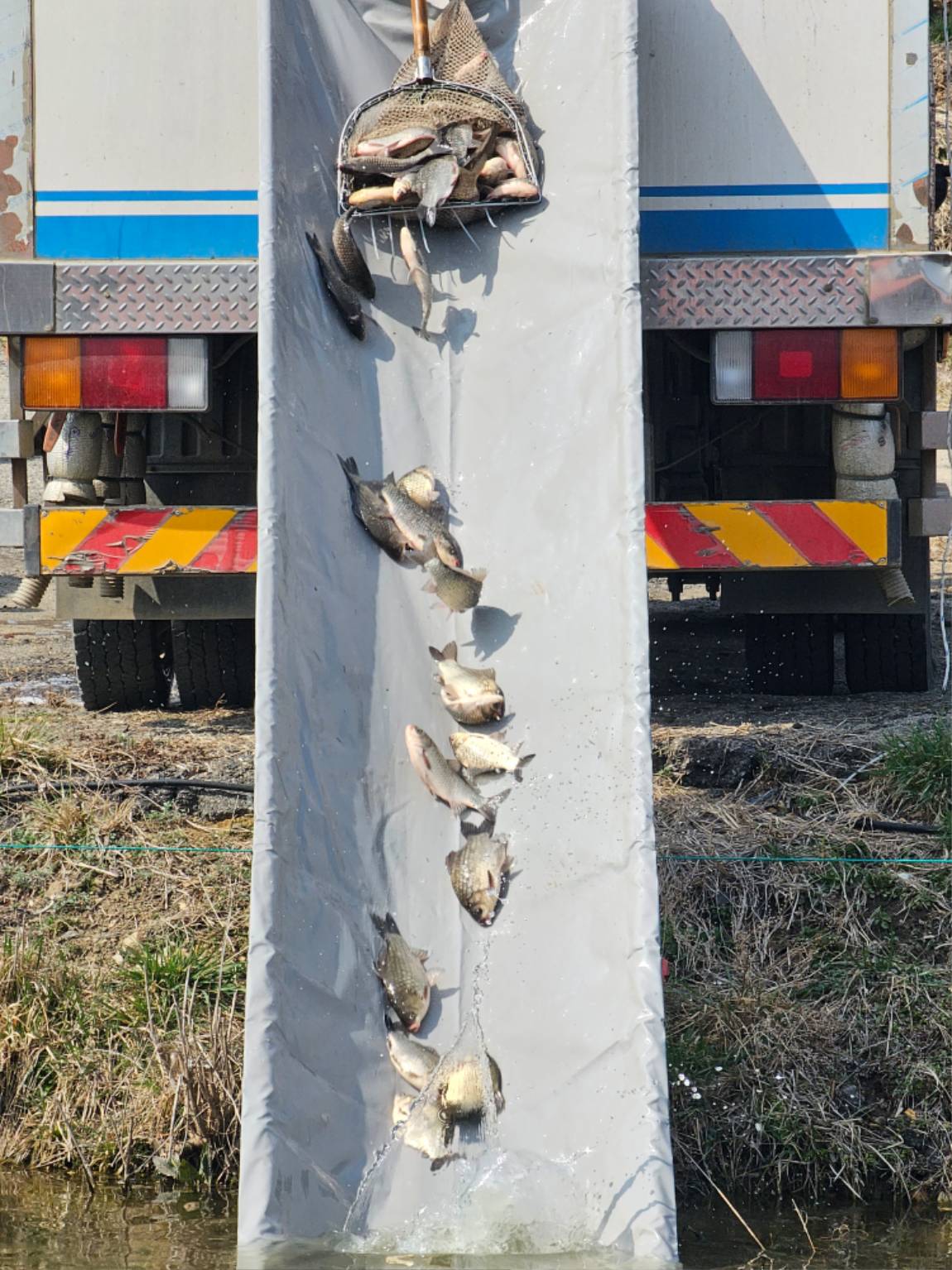 1000005651.jpg