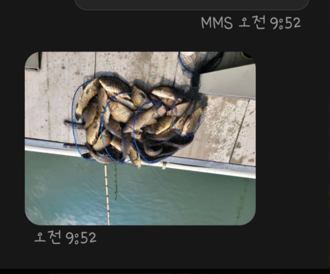 1000030203.jpg