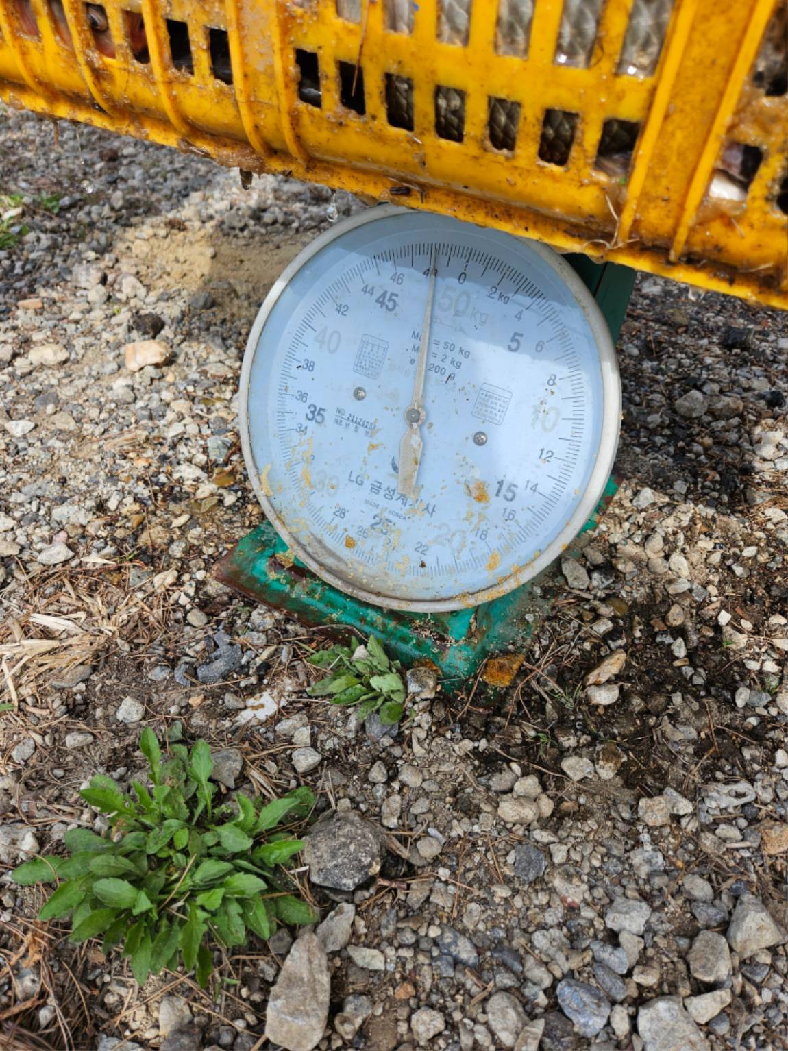 1000021633.jpg