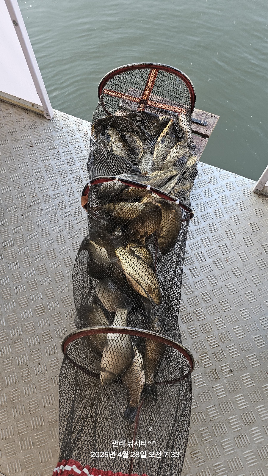 1000010378.jpg