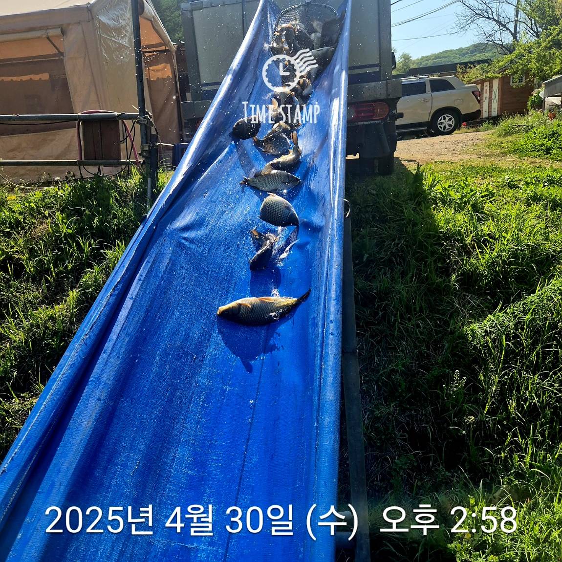 1745997451360.jpg