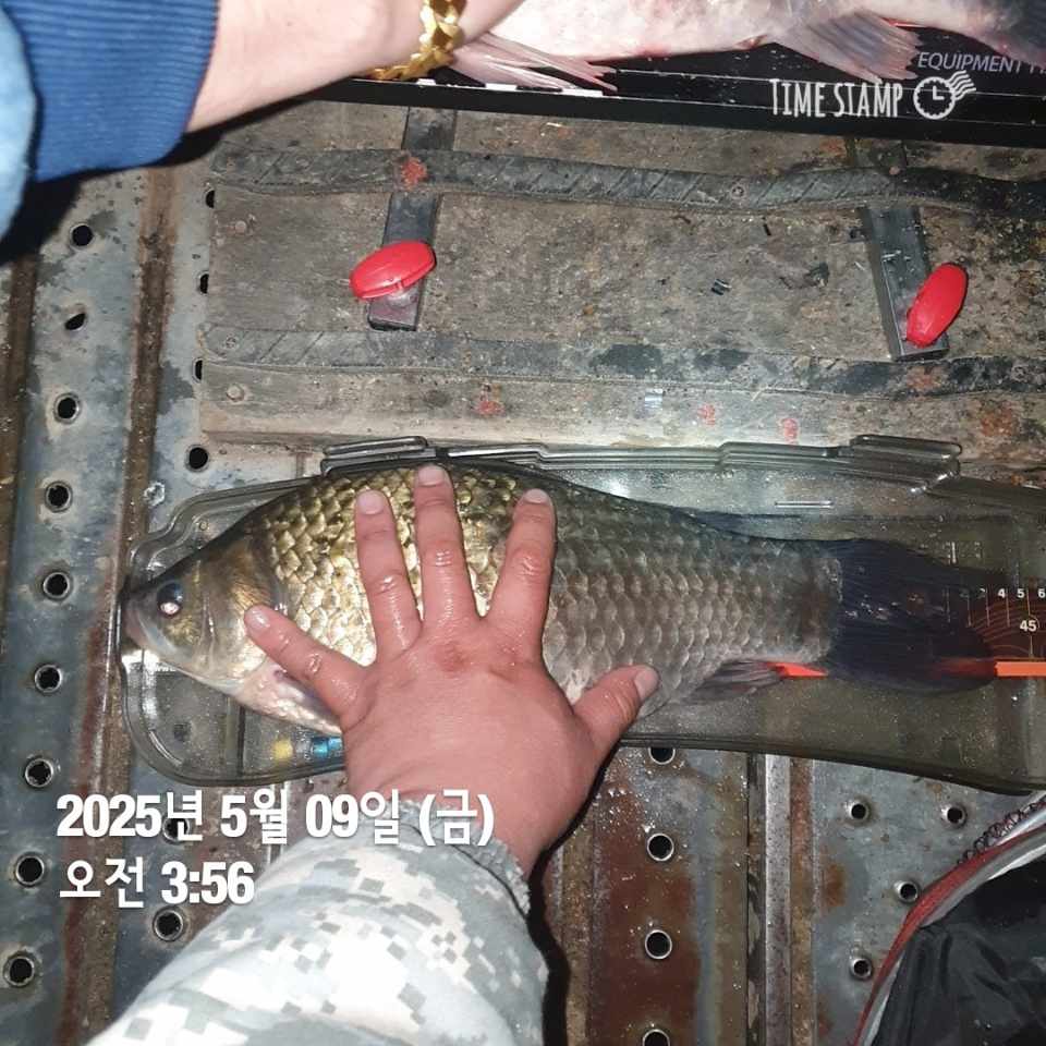 1000041481.jpg