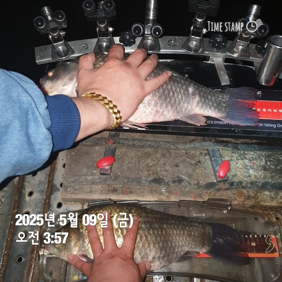 1000041480.jpg