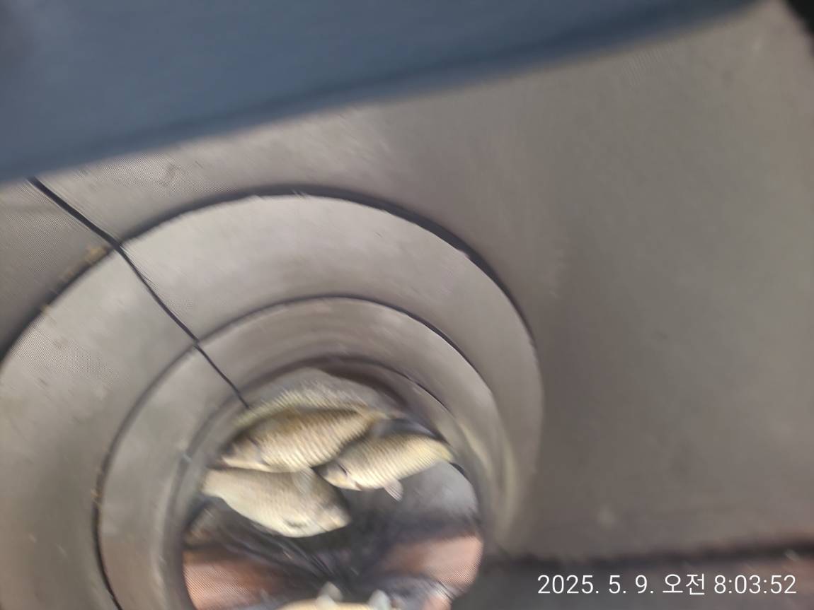 1000027829.jpg