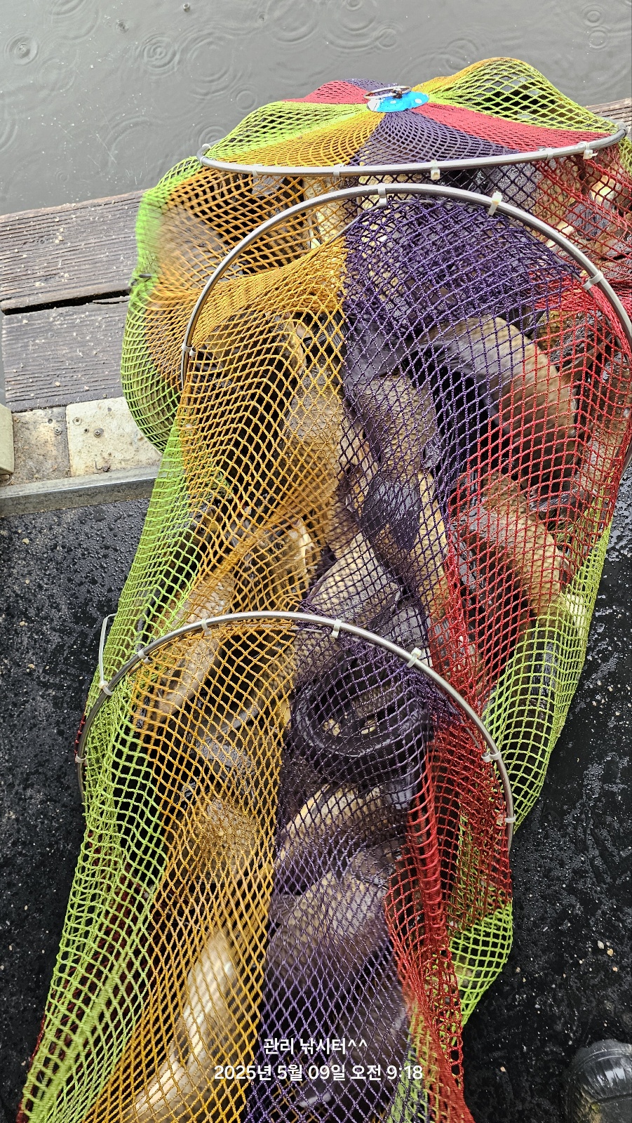 1000011521.jpg