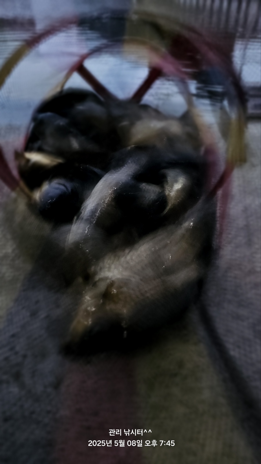 1000011481.jpg