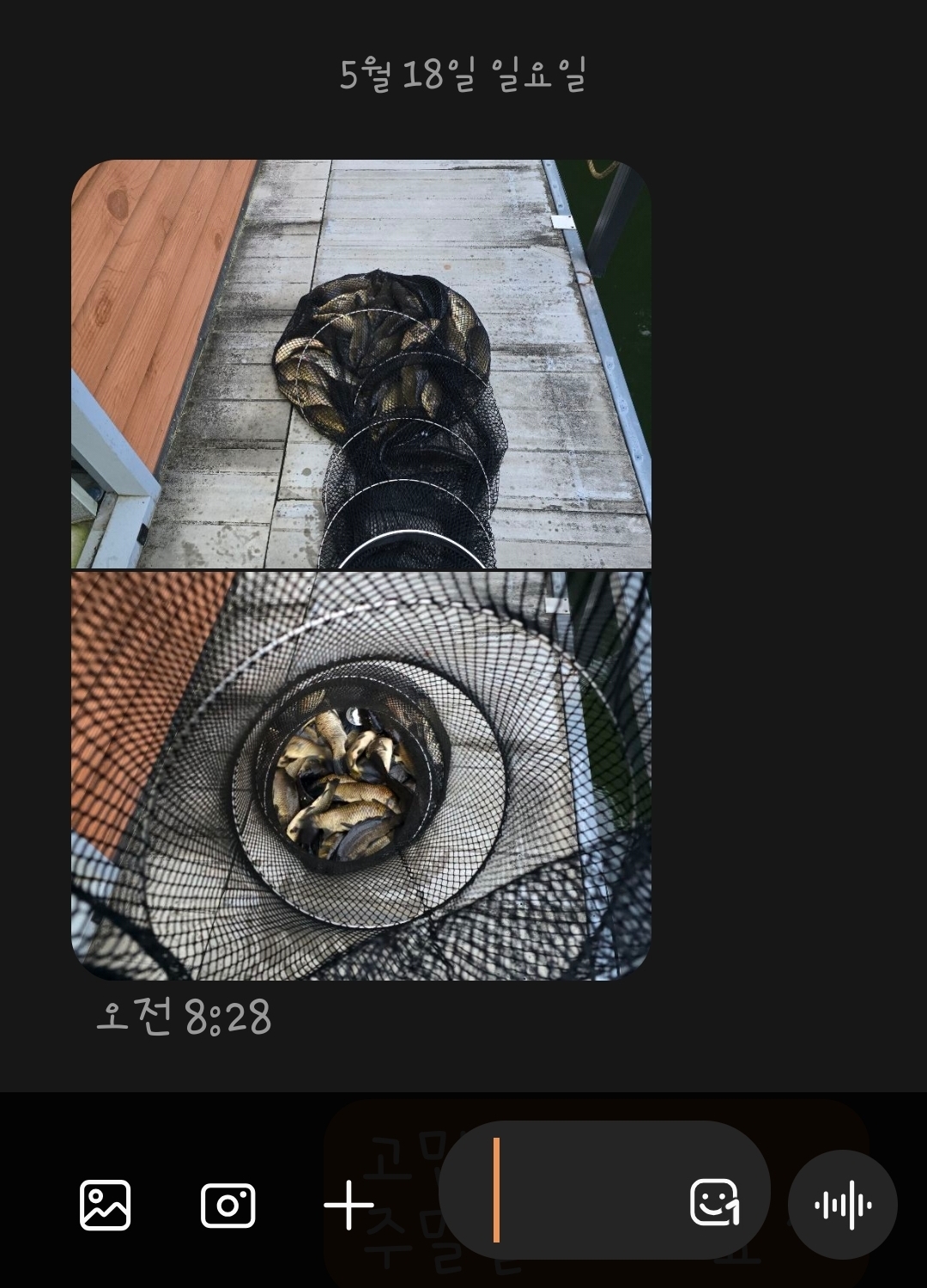 1000032847.jpg