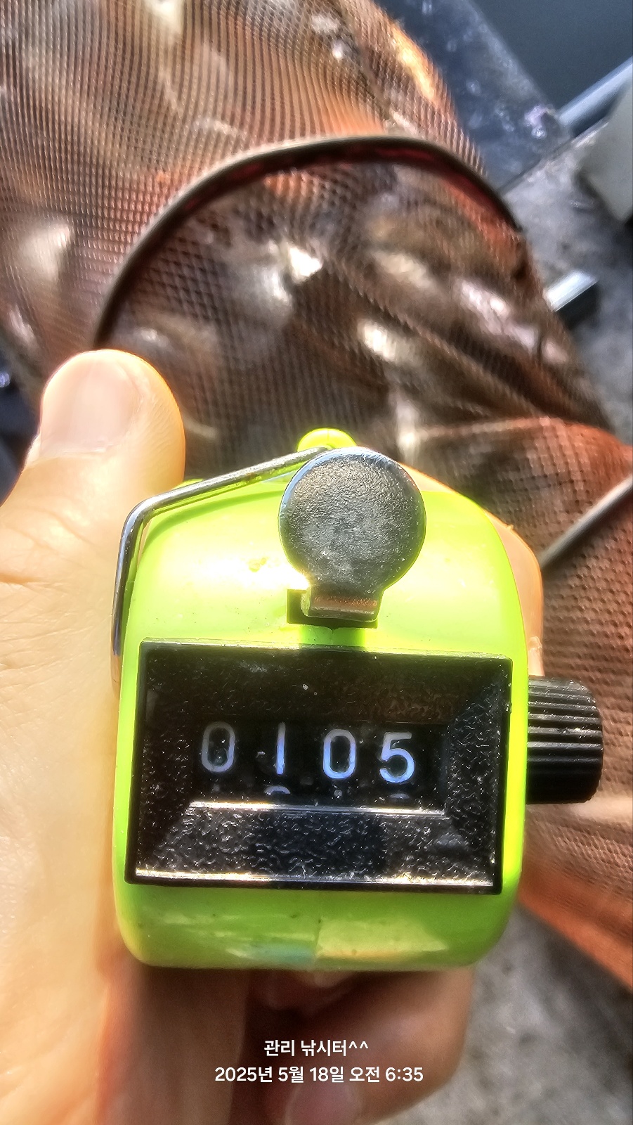 1000012564.jpg