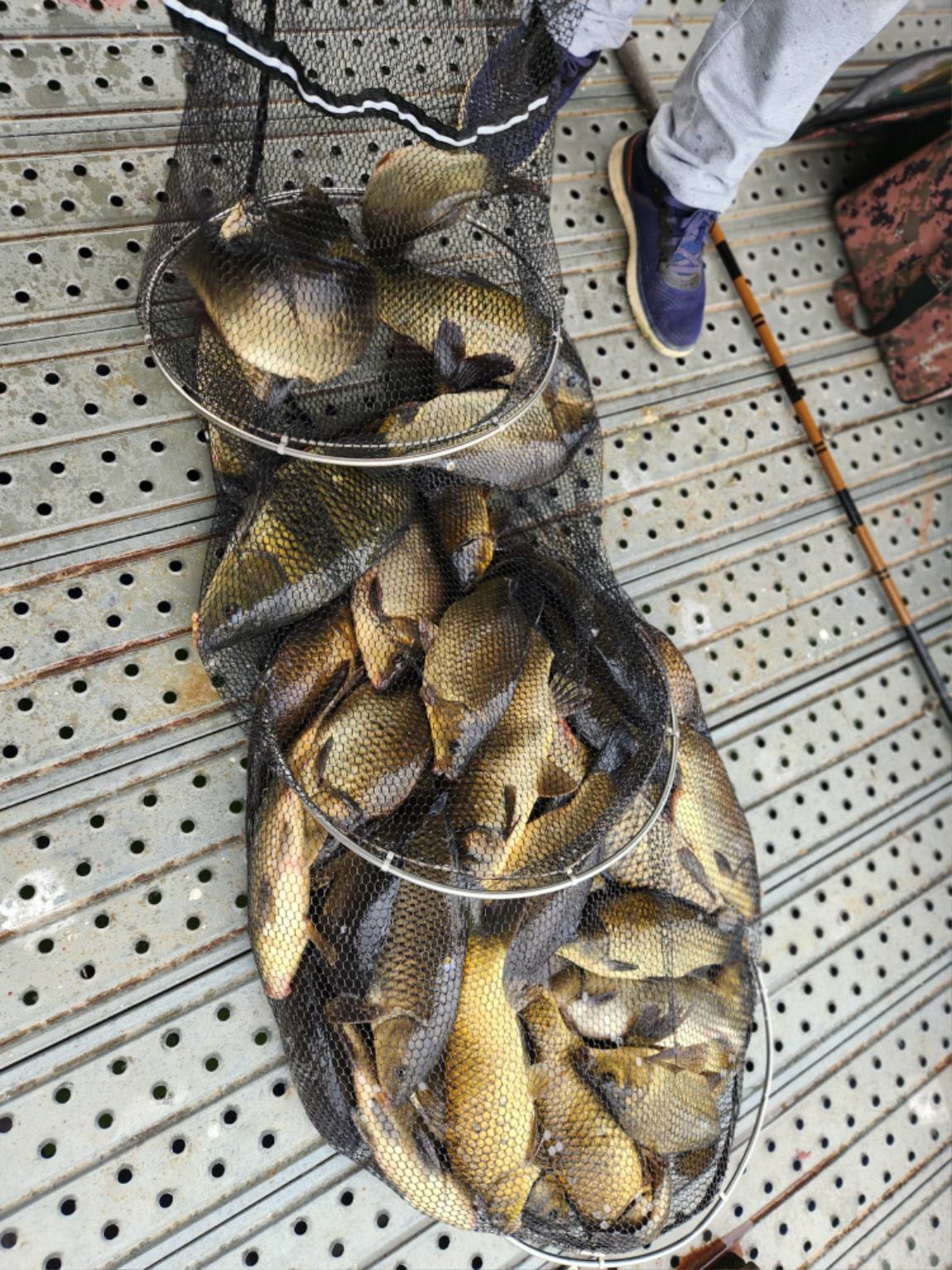 1000014082.jpg