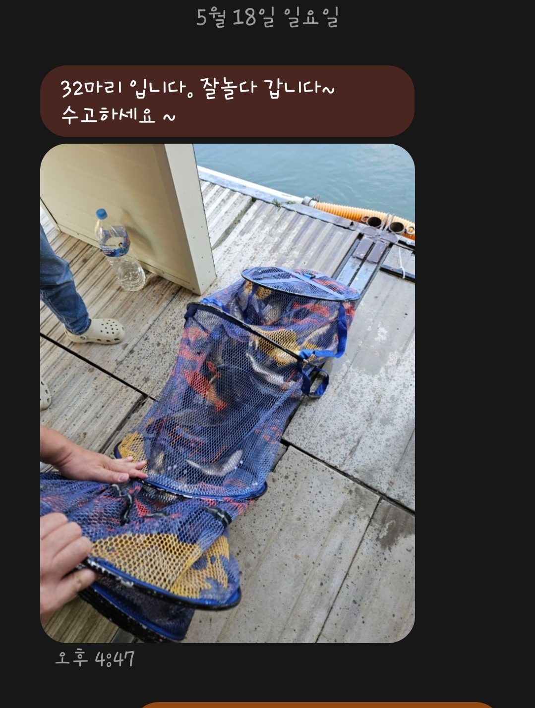 1000033051.jpg