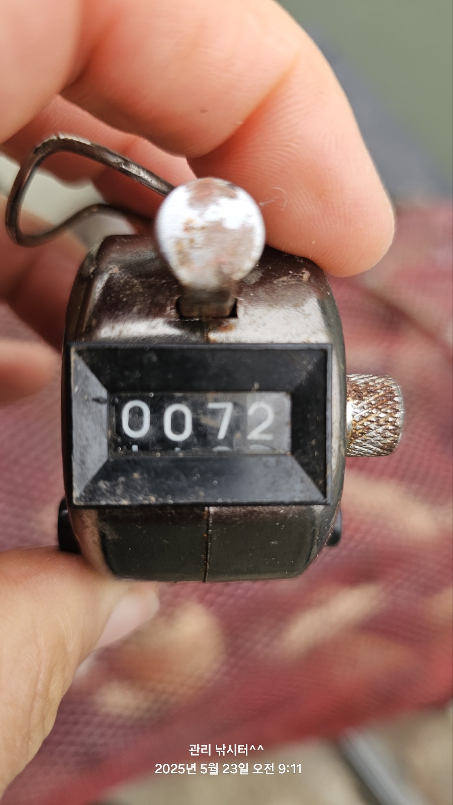 1000013029.jpg
