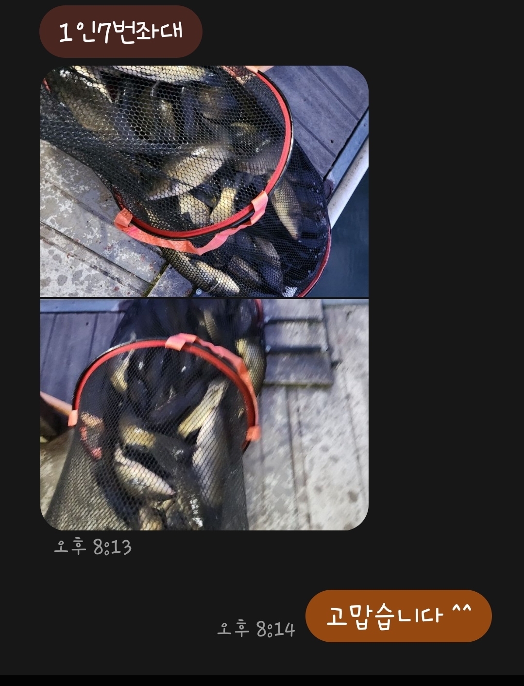 1000033252.jpg