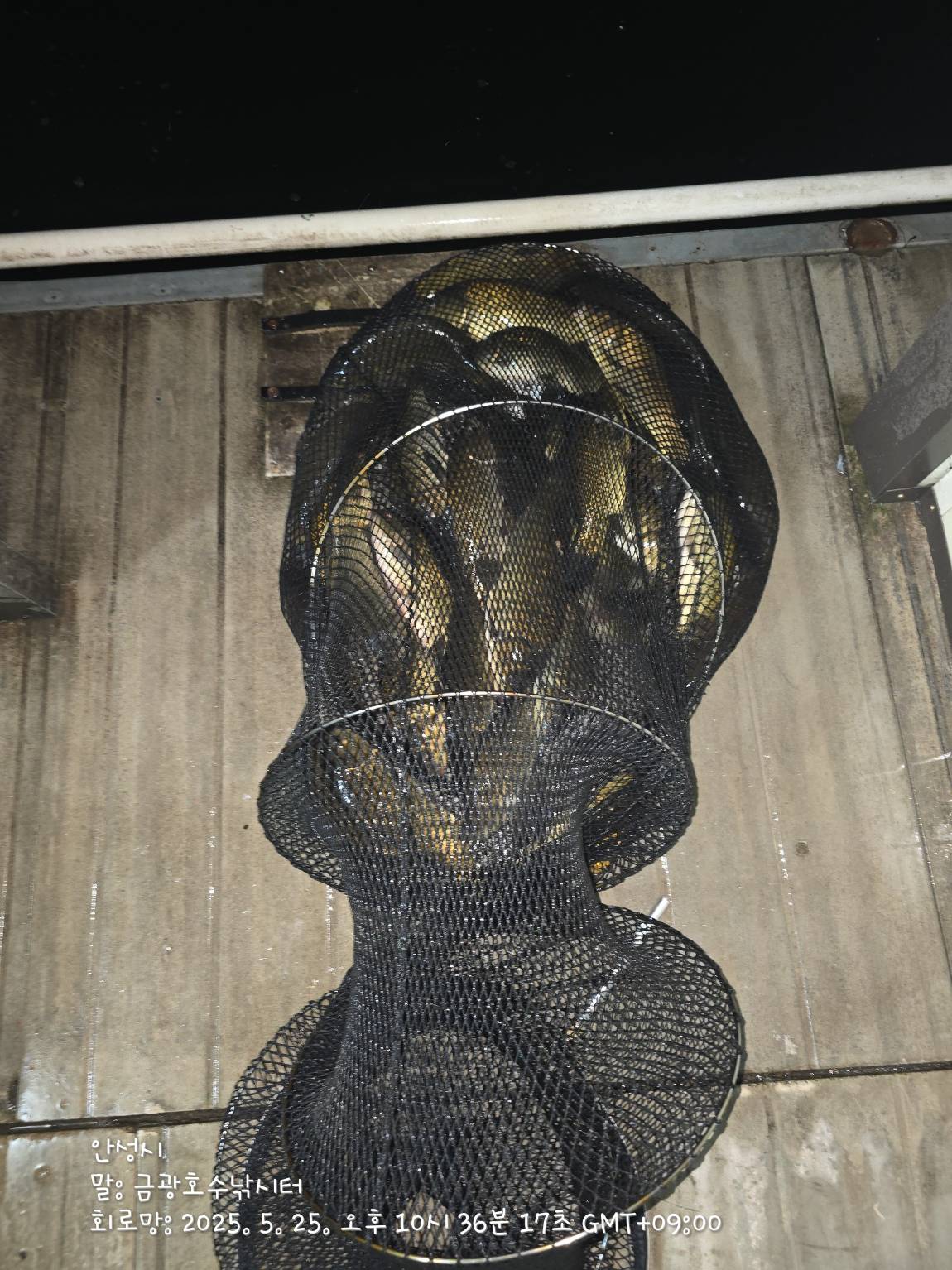 1000033413.jpg