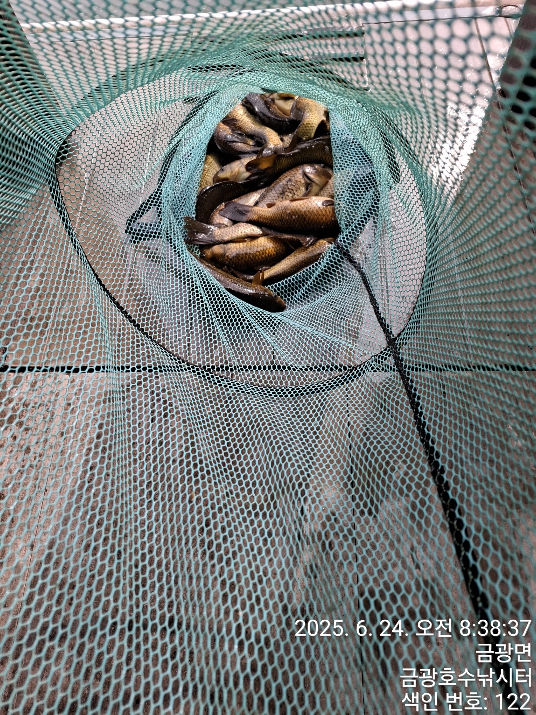 1000035576.jpg