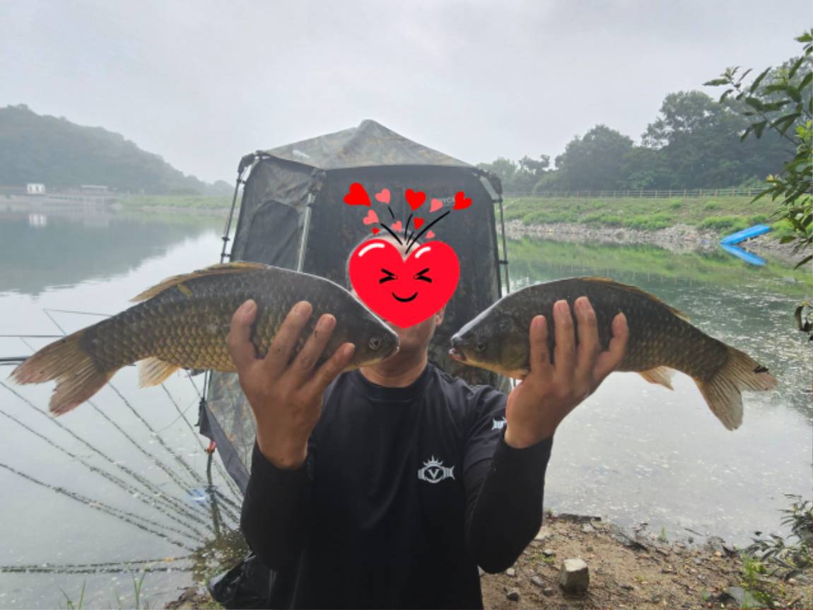 cropped6458761774336127686.jpg