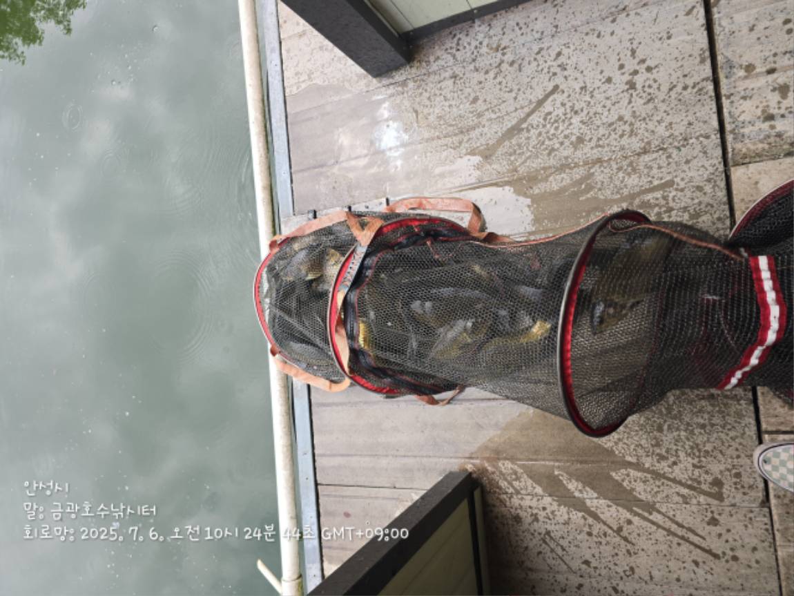 1000036597.jpg