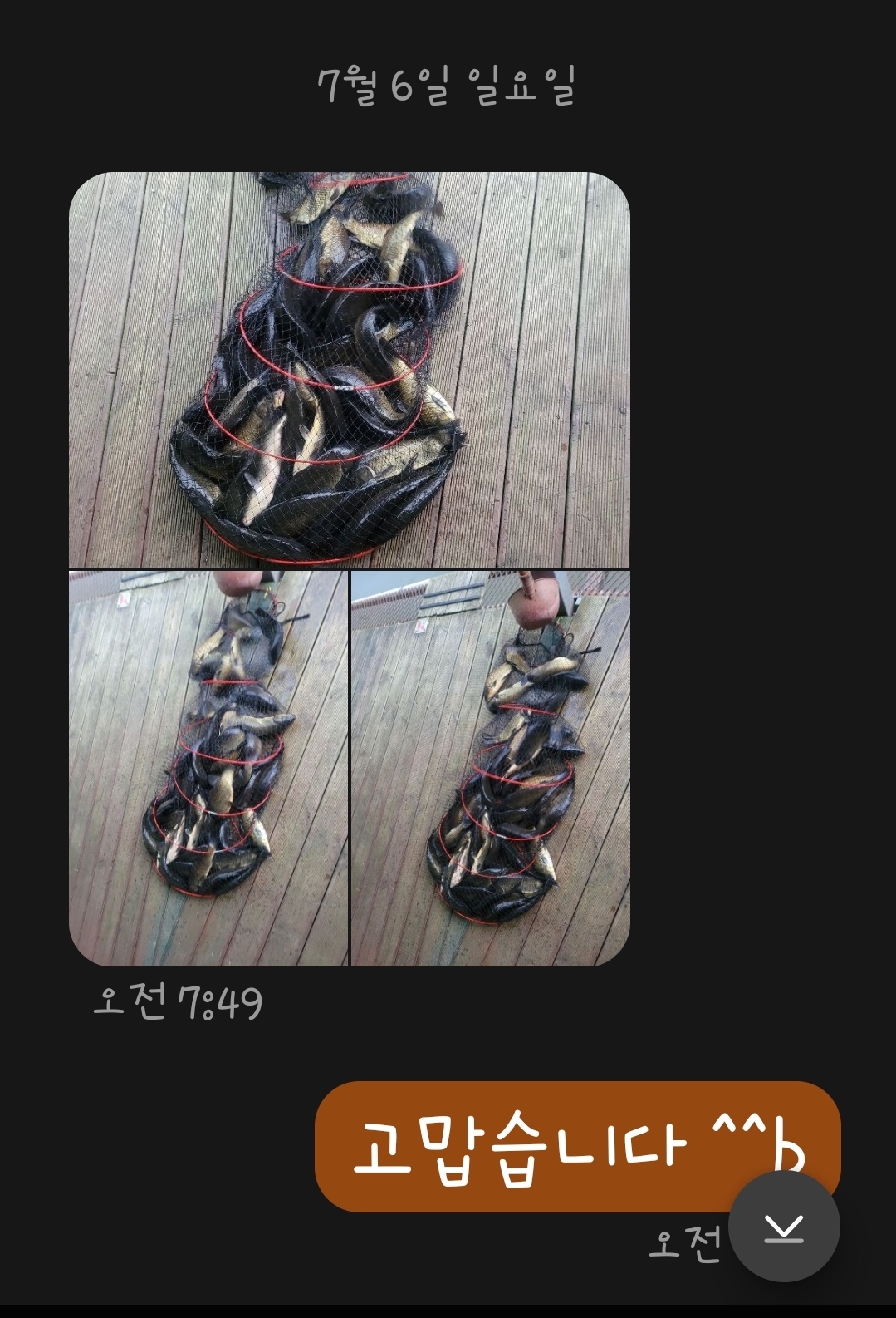 1000036600.jpg