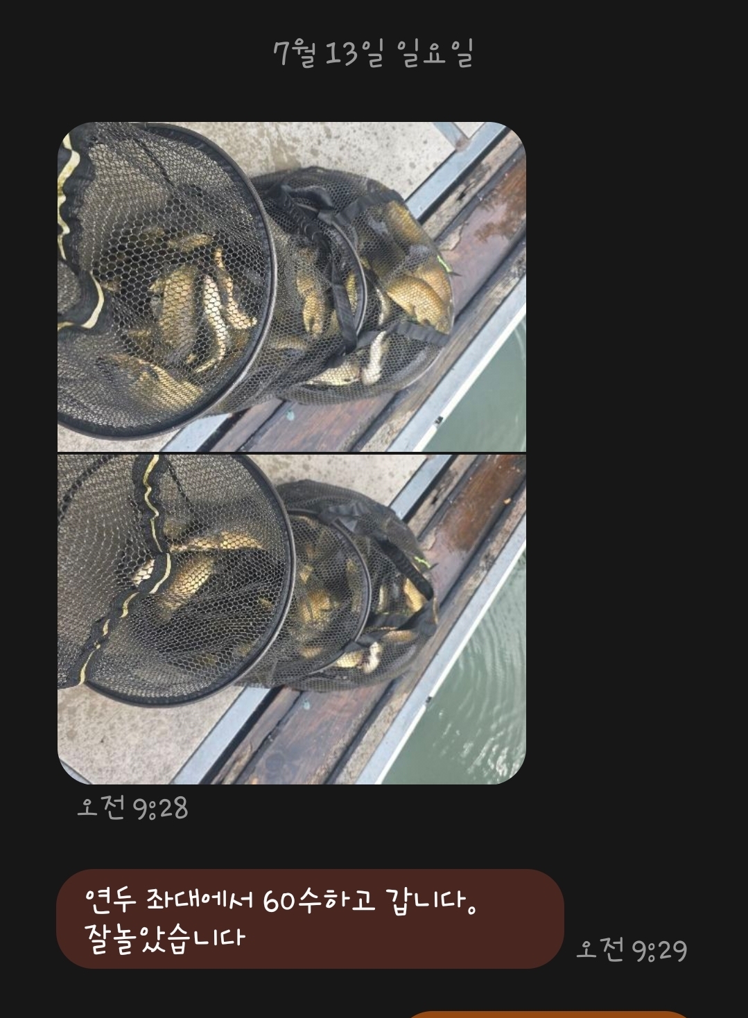 1000037031.jpg